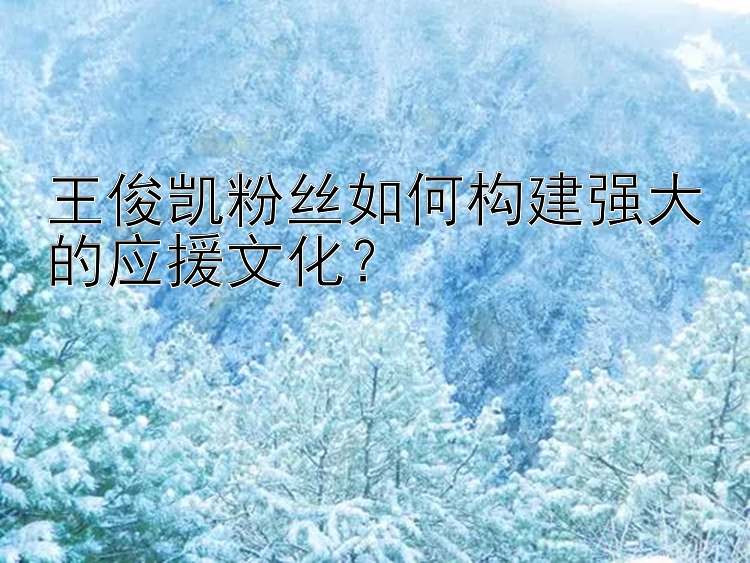 王俊凯粉丝如何构建强大的应援文化？