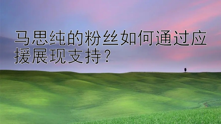 马思纯的粉丝如何通过应援展现支持？