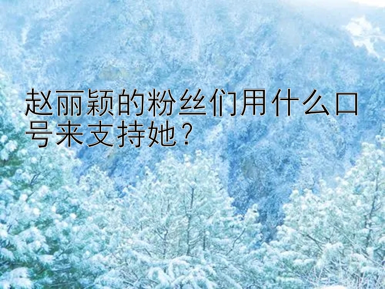 赵丽颖的粉丝们用什么口号来支持她？