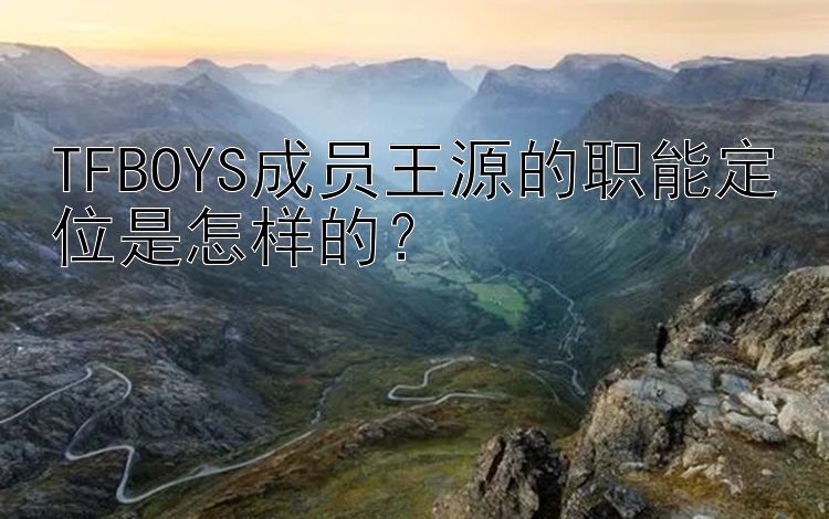 TFBOYS成员王源的职能定位是怎样的？