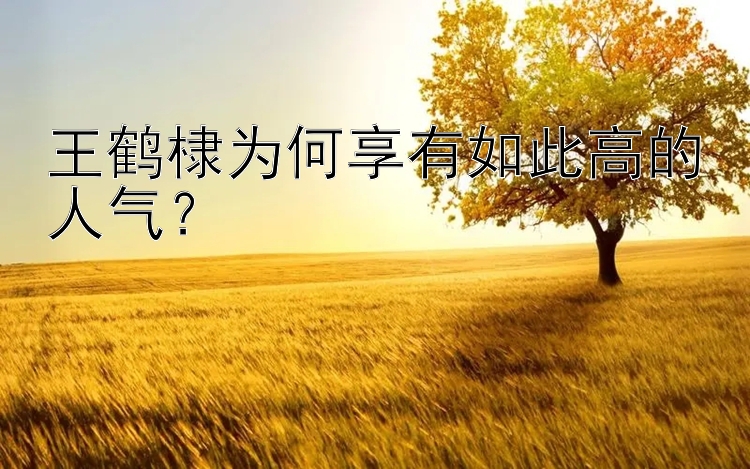 王鹤棣为何享有如此高的人气？