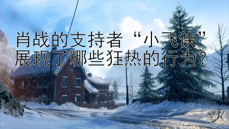 肖战的支持者“小飞侠”展现了哪些狂热的行为？