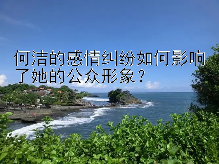 何洁的感情纠纷如何影响了她的公众形象？