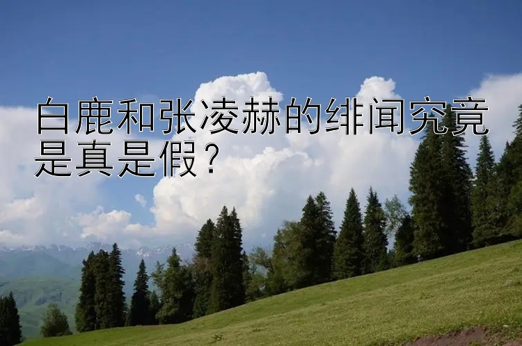 白鹿和张凌赫的绯闻究竟是真是假？