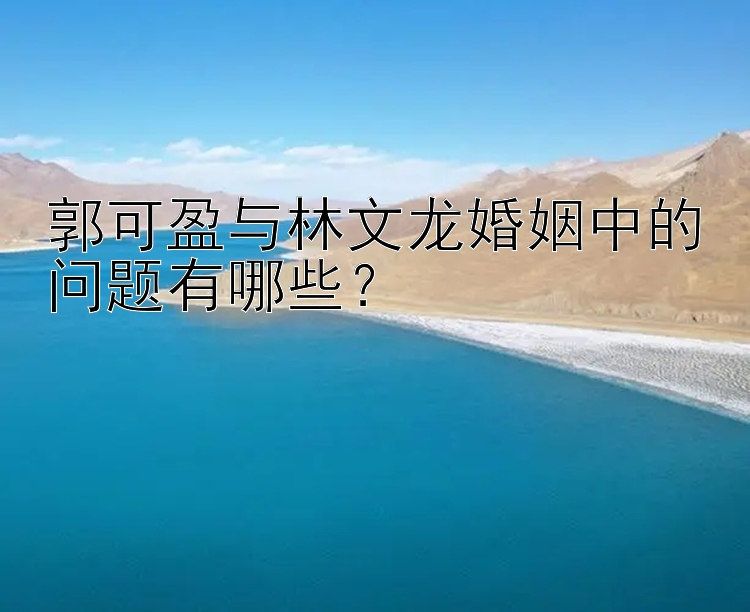 郭可盈与林文龙婚姻中的问题有哪些？