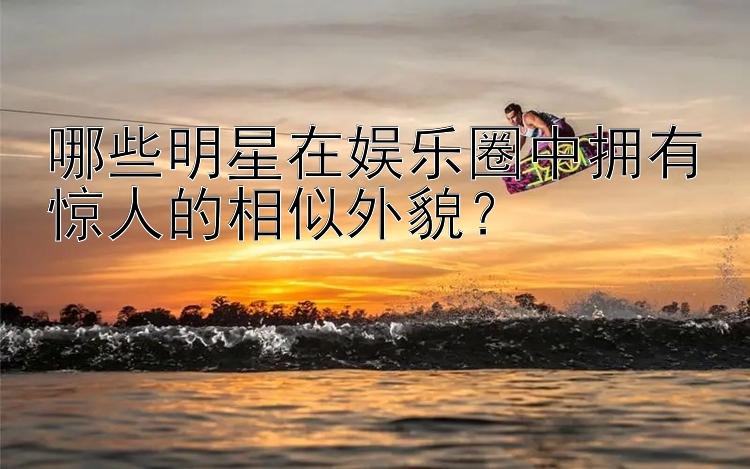 哪些明星在娱乐圈中拥有惊人的相似外貌？