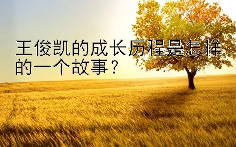 王俊凯的成长历程是怎样的一个故事？