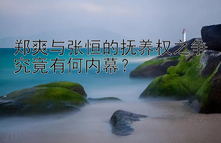 郑爽与张恒的抚养权之争究竟有何内幕？