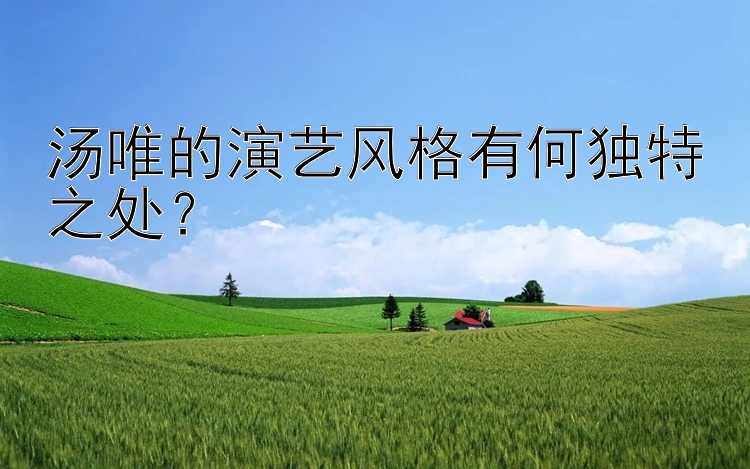 汤唯的演艺风格有何独特之处？