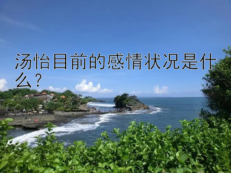 汤怡目前的感情状况是什么？