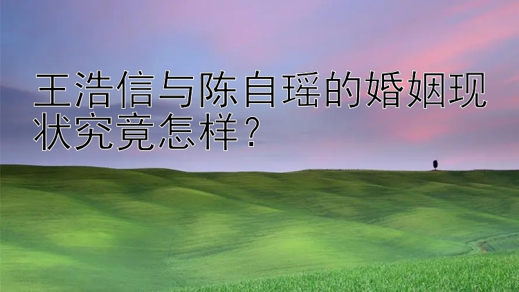 王浩信与陈自瑶的婚姻现状究竟怎样？