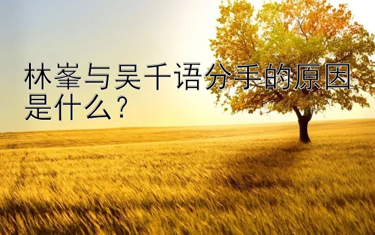 林峯与吴千语分手的原因是什么？