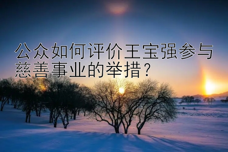 公众如何评价王宝强参与慈善事业的举措？