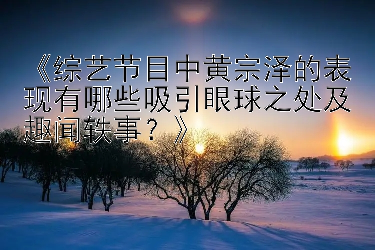 《综艺节目中黄宗泽的表现有哪些吸引眼球之处及趣闻轶事？》