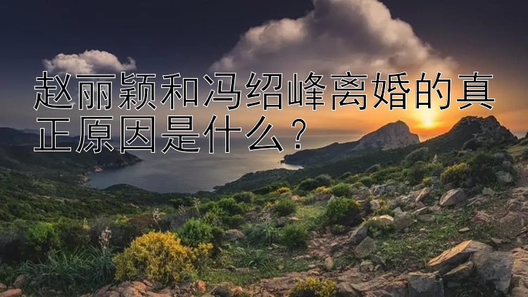 赵丽颖和冯绍峰离婚的真正原因是什么？