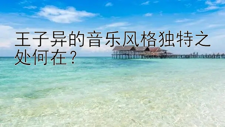 王子异的音乐风格独特之处何在？