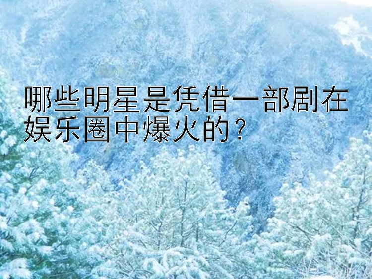 哪些明星是凭借一部剧在娱乐圈中爆火的？