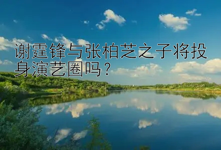 谢霆锋与张柏芝之子将投身演艺圈吗？