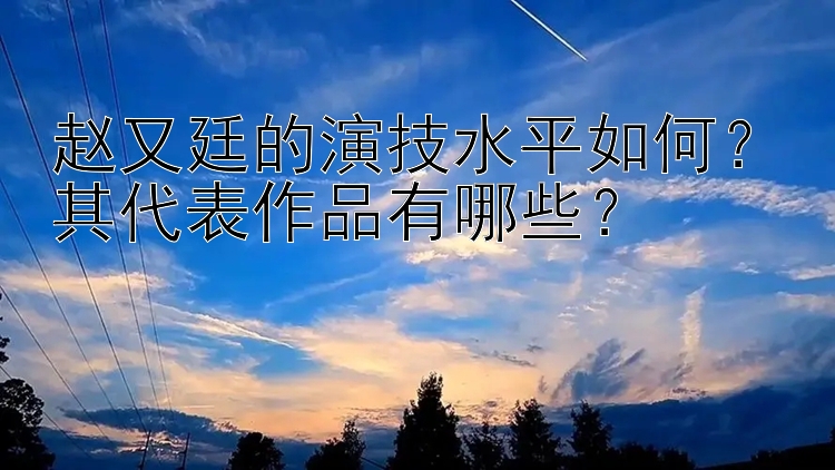 赵又廷的演技水平如何？其代表作品有哪些？