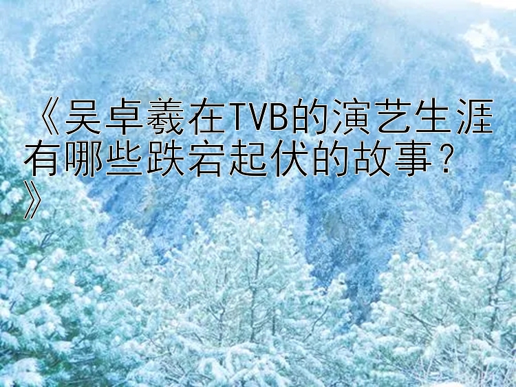 《吴卓羲在TVB的演艺生涯有哪些跌宕起伏的故事？》