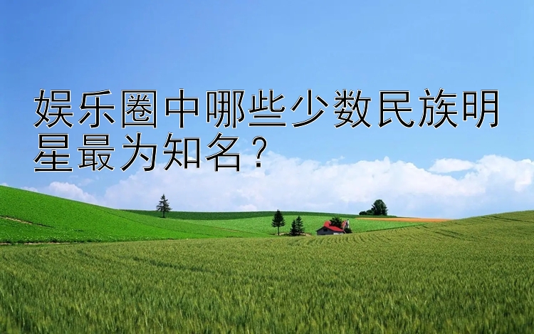 娱乐圈中哪些少数民族明星最为知名？