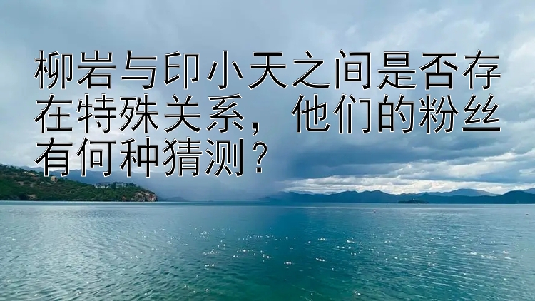 柳岩与印小天之间是否存在特殊关系，他们的粉丝有何种猜测？