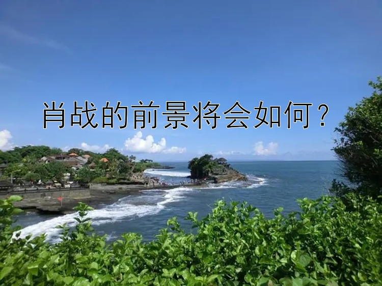 肖战的前景将会如何？