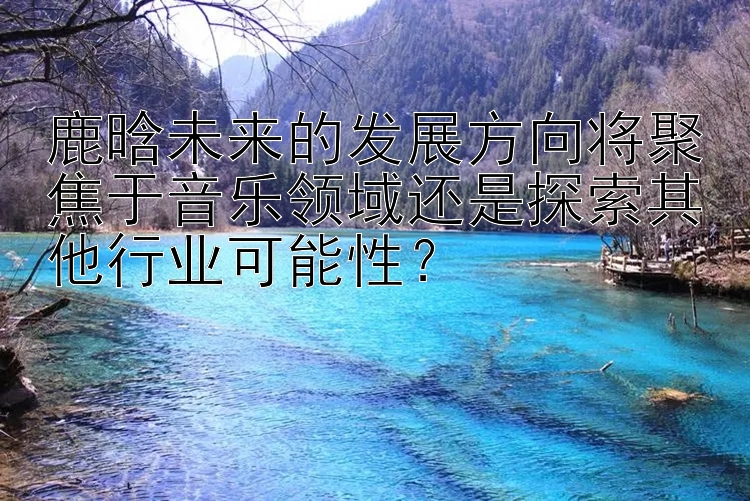 鹿晗未来的发展方向将聚焦于音乐领域还是探索其他行业可能性？