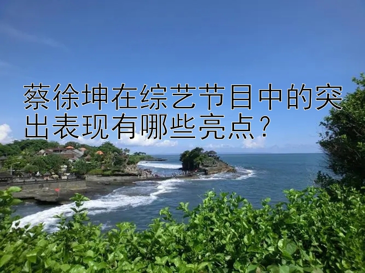 蔡徐坤在综艺节目中的突出表现有哪些亮点？