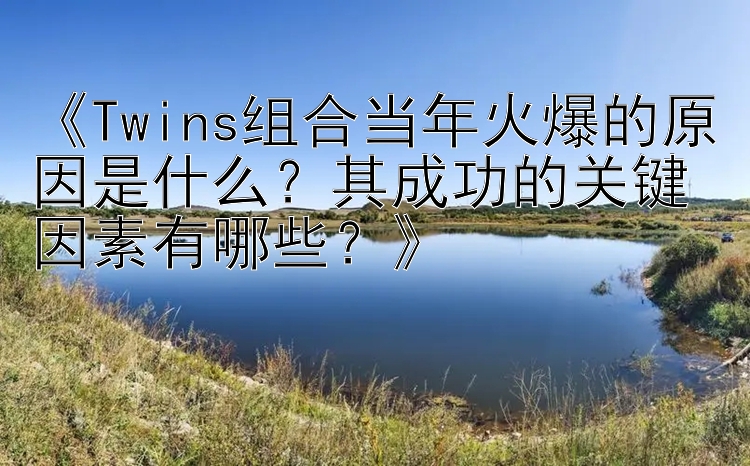 《Twins组合当年火爆的原因是什么？其成功的关键因素有哪些？》