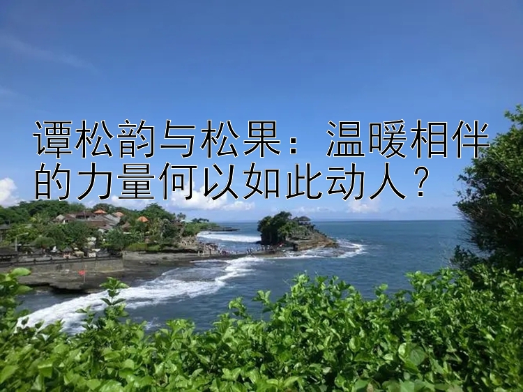 谭松韵与松果：温暖相伴的力量何以如此动人？