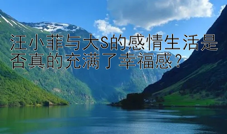 汪小菲与大S的感情生活是否真的充满了幸福感？