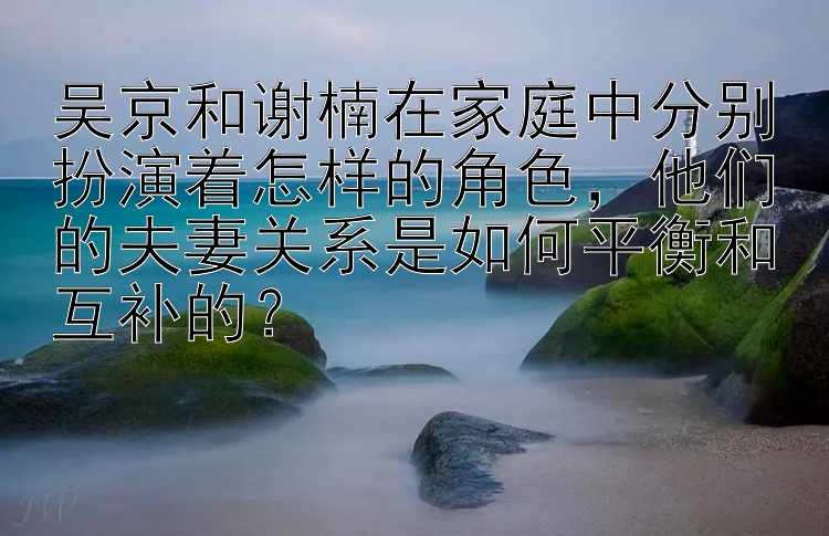 吴京和谢楠在家庭中分别扮演着怎样的角色，他们的夫妻关系是如何平衡和互补的？