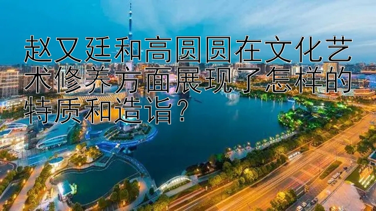 赵又廷和高圆圆在文化艺术修养方面展现了怎样的特质和造诣？