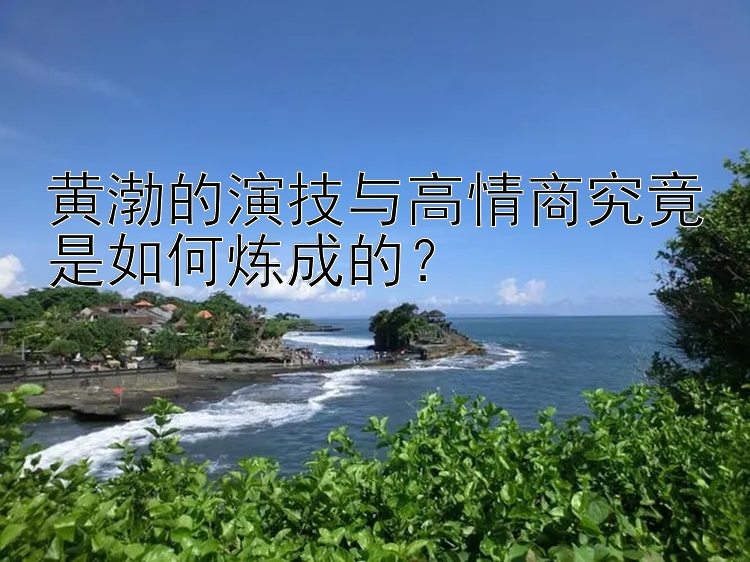 黄渤的演技与高情商究竟是如何炼成的？