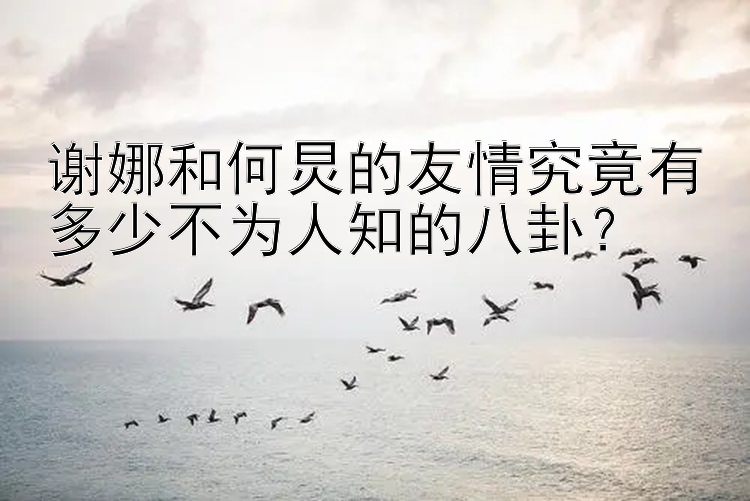 谢娜和何炅的友情究竟有多少不为人知的八卦？