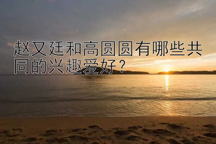 赵又廷和高圆圆有哪些共同的兴趣爱好？