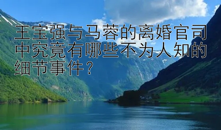 王宝强与马蓉的离婚官司中究竟有哪些不为人知的细节事件？