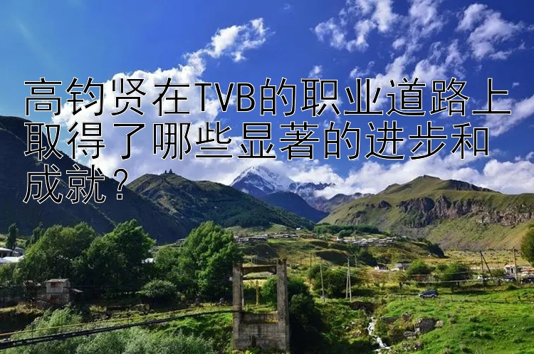 高钧贤在TVB的职业道路上取得了哪些显著的进步和成就？