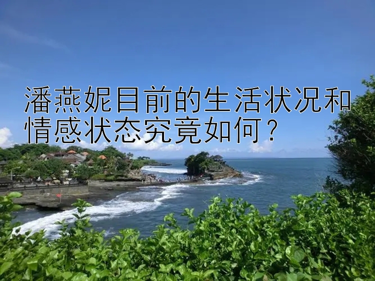 潘燕妮目前的生活状况和情感状态究竟如何？