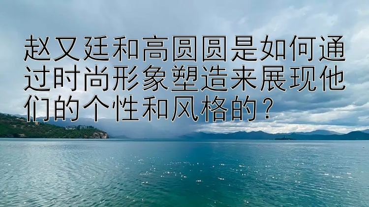 赵又廷和高圆圆是如何通过时尚形象塑造来展现他们的个性和风格的？