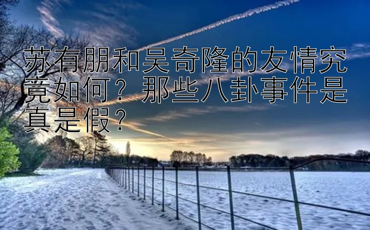 苏有朋和吴奇隆的友情究竟如何？那些八卦事件是真是假？