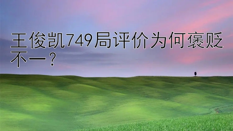 王俊凯749局评价为何褒贬不一？