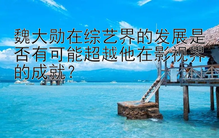 魏大勋在综艺界的发展是否有可能超越他在影视界的成就？