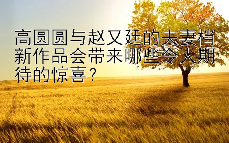 福彩快三走势图怎么看   高圆圆与赵又廷的夫妻档新作品会带来哪些令人期待的惊喜？