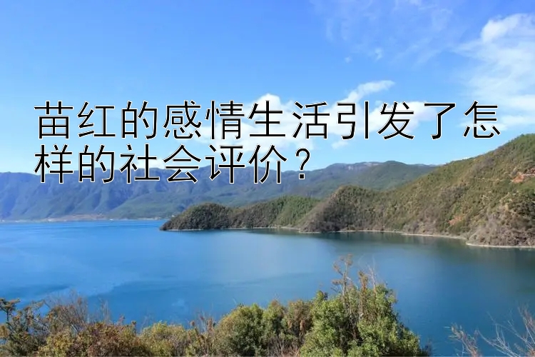 苗红的感情生活引发了怎样的社会评价？