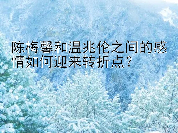 陈梅馨和温兆伦之间的感情如何迎来转折点？