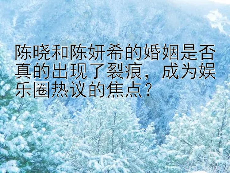 陈晓和陈妍希的婚姻是否真的出现了裂痕，成为娱乐圈热议的焦点？