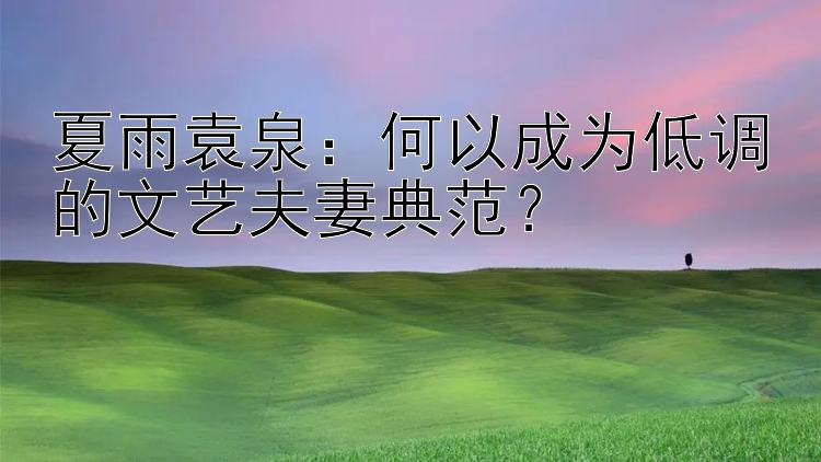 夏雨袁泉：何以成为低调的文艺夫妻典范？