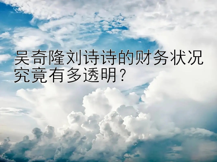 吴奇隆刘诗诗的财务状况究竟有多透明？